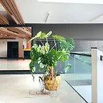 Lägenhet With Terrace And Two Bedrooms, Cracow Vistula Boulevards