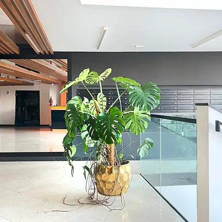 Appartement With Terrace And Two Bedrooms, Cracow Vistula Boulevards
